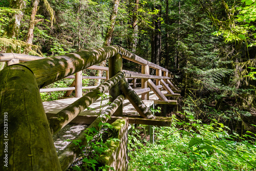 Wooden footbridge crossing a stream in a green forest. Scenic view of nature. Concept of a peaceful journey in a quiet, mysterious wilderness landscape