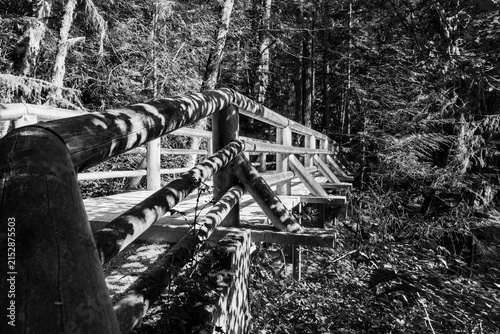 black and white Wooden footbridge crossing a stream in a green forest. Scenic view of nature. Concept of a peaceful journey in a quiet, mysterious wilderness landscape
