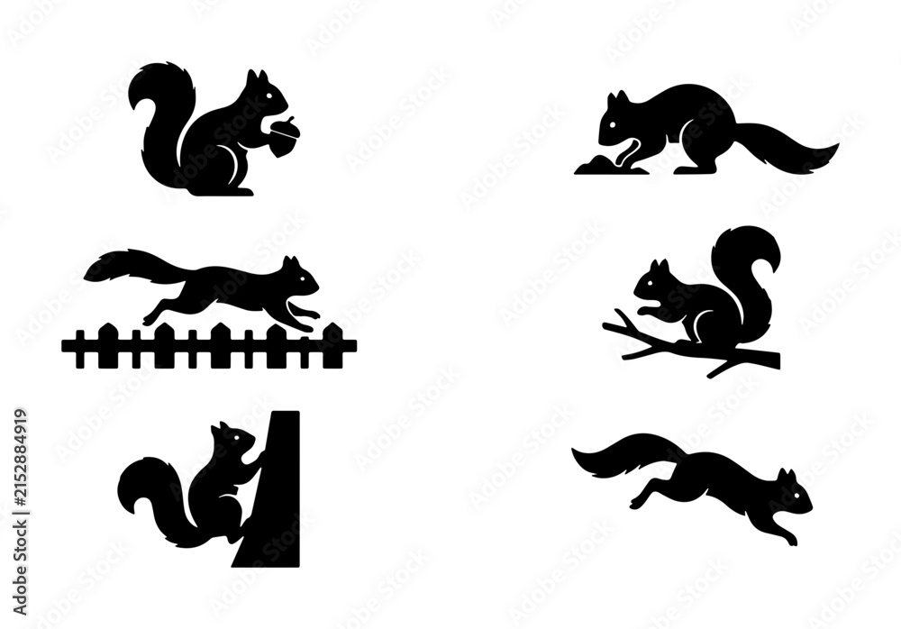 Obraz premium Vector Silhouette Squirrel Icons Set, Woodland Wildlife Animal Graphics, Nature Forest Creatures Collection