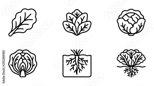 Leafy Greens Icons, Fresh Vegetable Vector Graphics, Healthy Food Line Art Collection, Organic Produce Symbols
