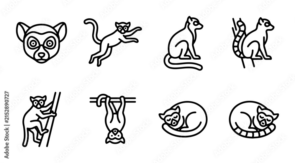 Fototapeta premium Lemur Icons Set, Primate Vector Graphics, Cute Monkey Illustrations, Wild Animal Line Art Collection