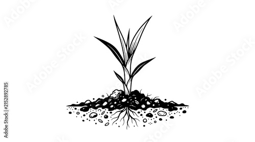 Seedling Growing in Soil: New Life, Growth, Nature, Organic, Farming, Black and White Line Art