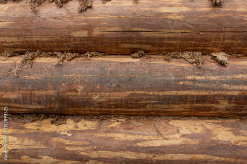 Фотография Wooden logs stacked in a row for construction