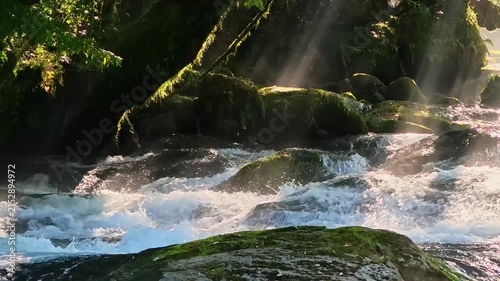 夏でも涼しい菊池渓谷