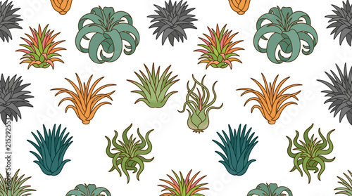 Colorful air plant succulent seamless botanical pattern.