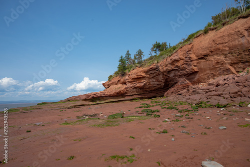 Red sandstone cliffs with green algae on a coastal beach.