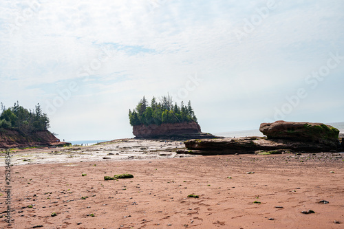 A high-resolution, detailed shot showcasing vibrant green moss and algae growing on layered, red sandstone rock formations at Burntcoat Head, Nova Scotia.