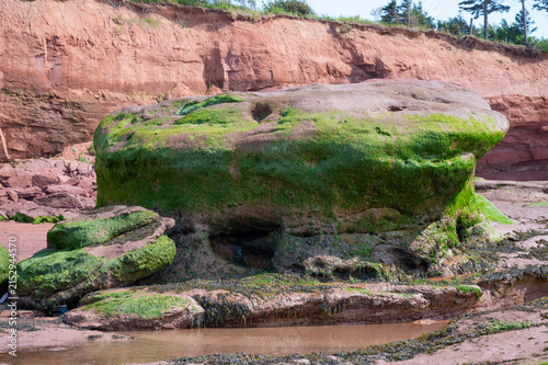 Low tide coastal landscape with green mossy sea rocks and red cliffs at Burntcoat Head.