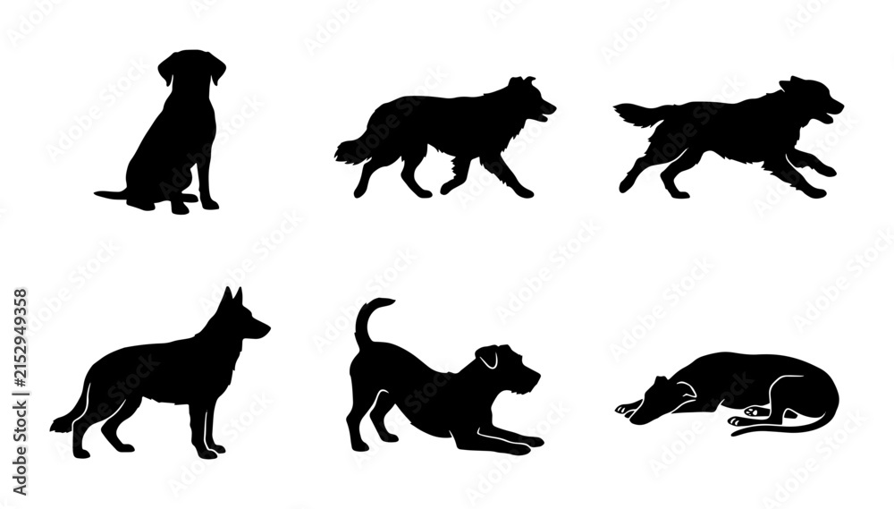 Fototapeta premium 70 Diverse Dog Silhouettes Collection, Canine Poses Vector Set, Pet Animal Icons for Graphic Design and Branding 100