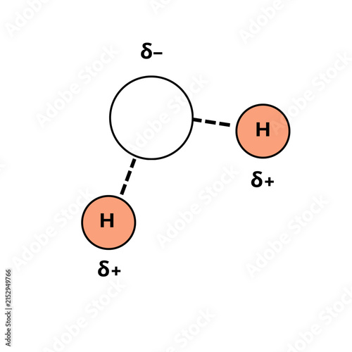 vector illustration of a water molecule showing polarity
