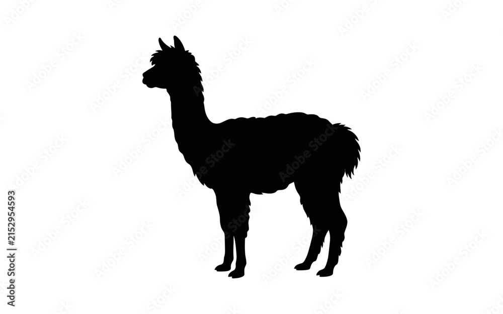 Naklejka premium Llama silhouette stands against a plain white background