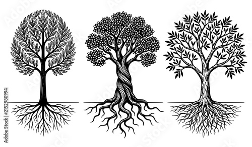Black and white botanical tree collection with intricate roots and varied leaf patterns vector illustration
