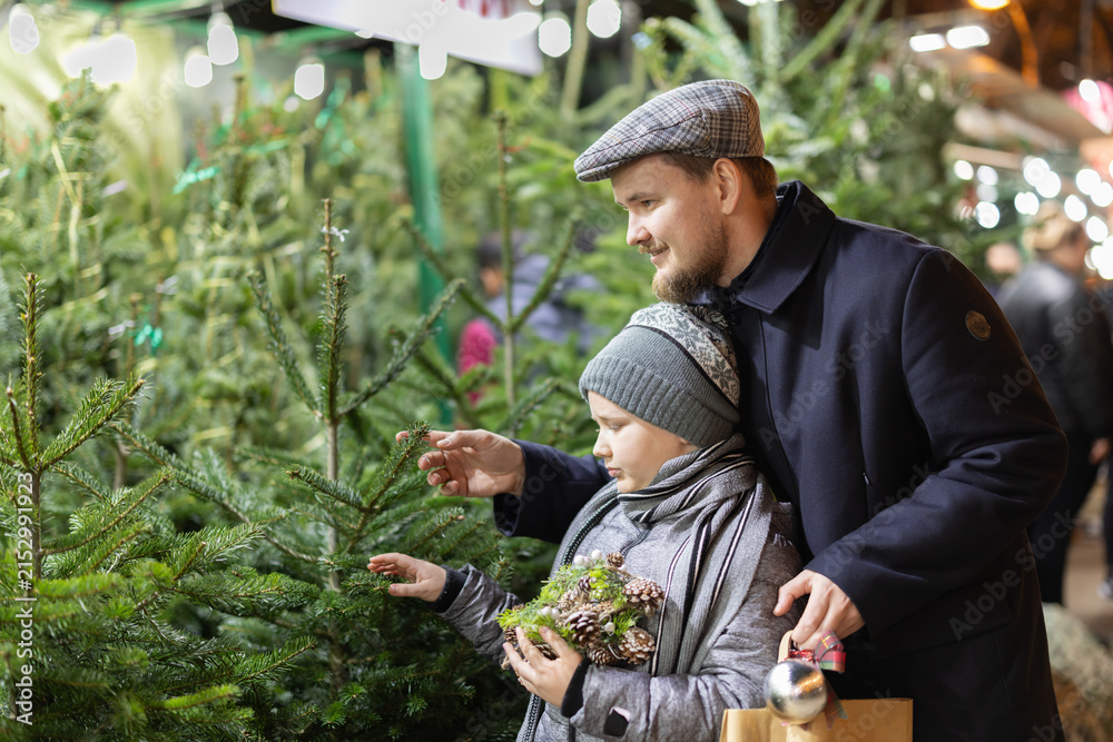 Obraz premium During Christmas market, dad and son choose Christmas tree and try on balls for New Year tree. They buy Christmas tree to decorate house and apartment, preparing for New Year and Christmas.