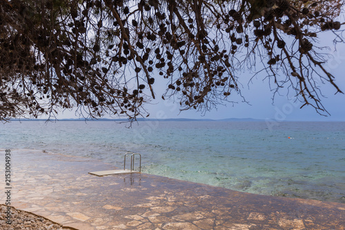 Stone seaside platform with ladder leading into calm Adriatic waters in Croatia coastal setting