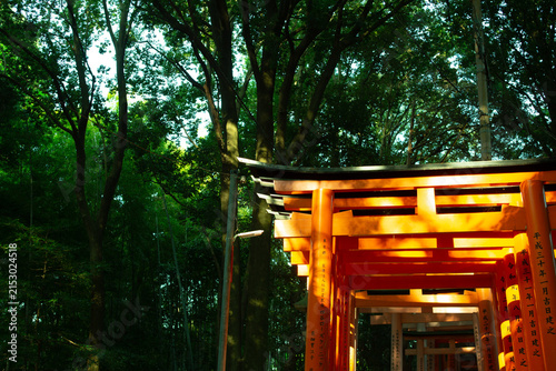 Obraz na płótnie 緑の中にある京都伏見稲荷神社の鳥居