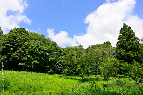 瀞川平湿原