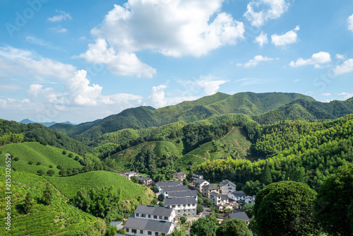 Traditional Chinese Village Amongst Terraced Tea Plantations and Bamboo Forests

