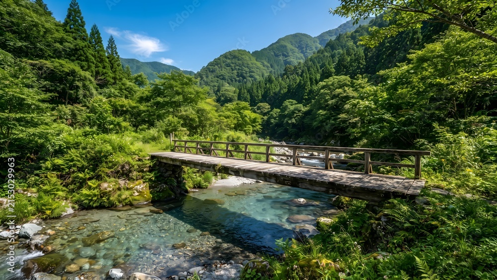 Fototapeta premium Wooden Bridge Over a Clear Mountain River in a Lush Forest