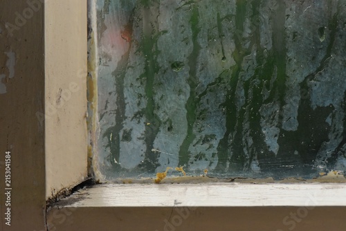 old window in yellow frame with dirty glass after rain on the background of green plants