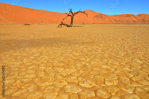 Deadvlei