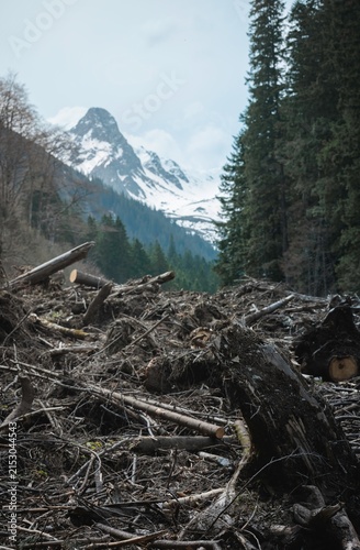 Canvastavla Scattered timber lies in the foreground, hinting at a recent logging operation