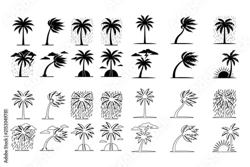 Diverse palm tree silhouettes illustrating various weather conditions and settings