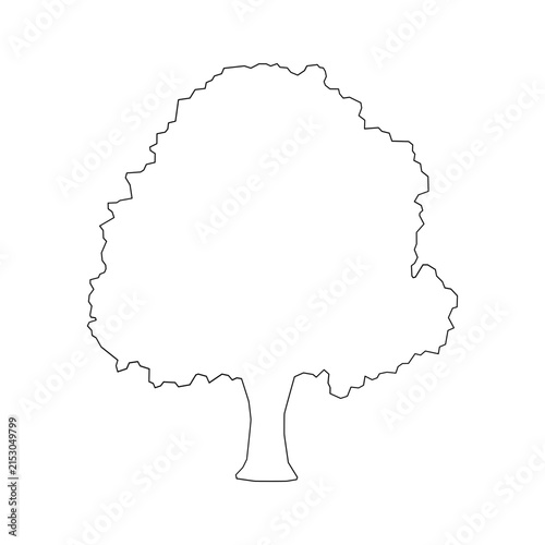 Simple outline drawing of a deciduous tree isolated on transparent background