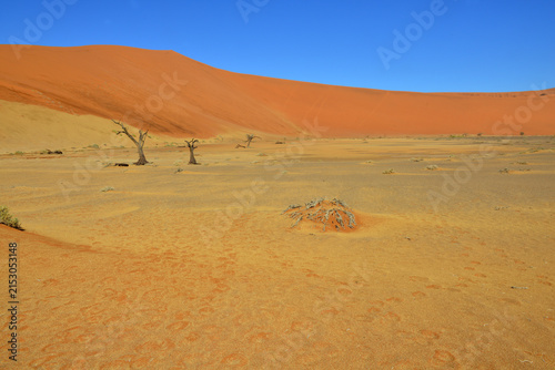 Deadvlei