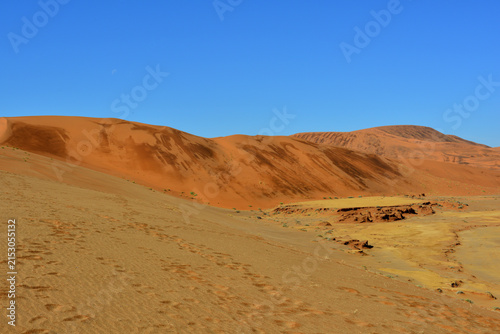 Bild auf Leinwand Deadvlei