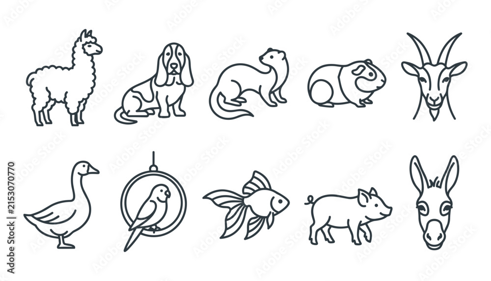 Naklejka premium Domestic animals and pets outline icon set featuring alpaca, dog, ferret, guinea pig, goat, goose, parrot, goldfish, pig, and donkey web linear symbols.