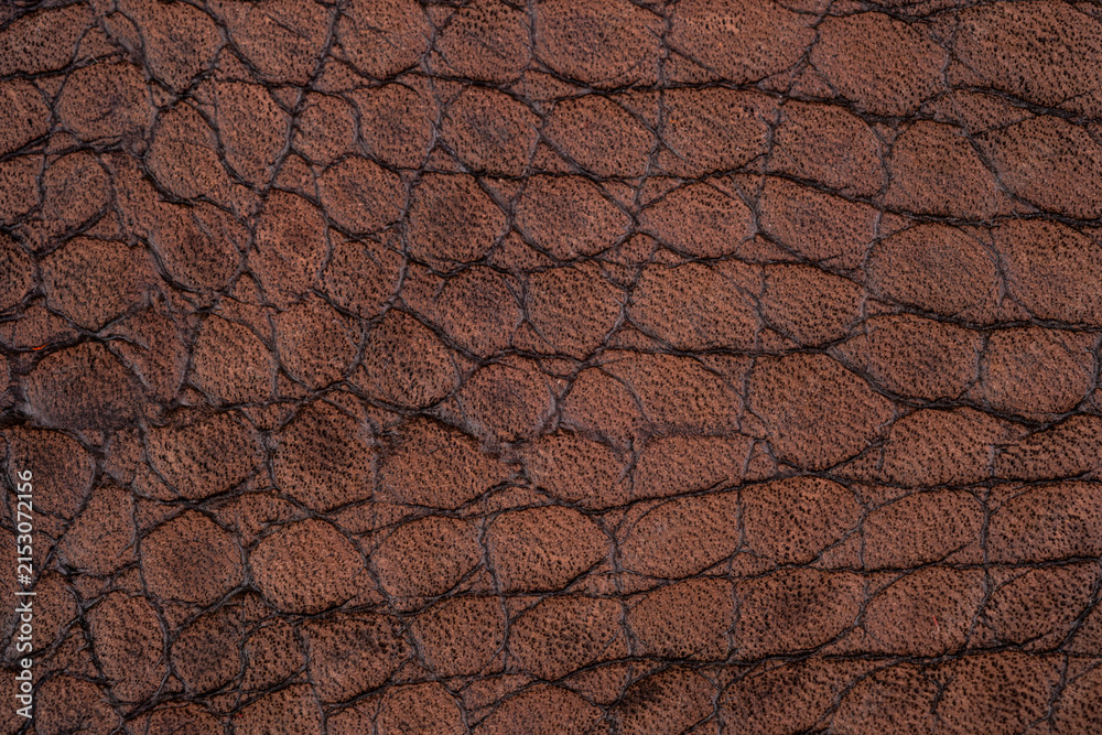 Naklejka premium Brown leather texture close up, small reptile surface pattern with matte material background