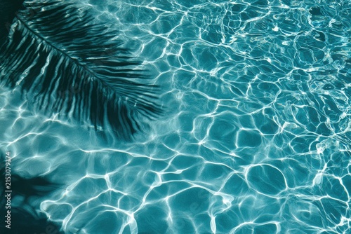 Sunlight patterns dance on a clear turquoise pool's surface with a palm frond shadow
