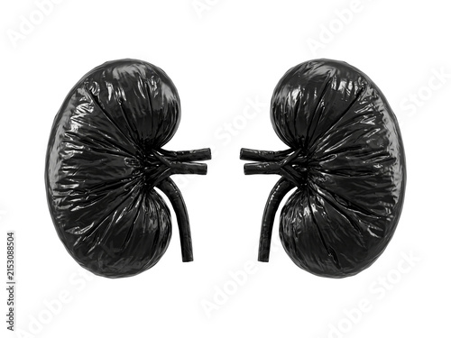 Black Plastic Garbage Bags Shaped Like Human Kidneys, Anatomical Waste Concept