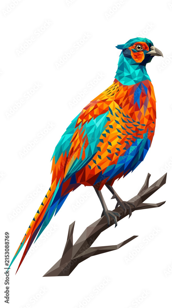 Obraz premium Colorful Polygon Pheasant Bird on Branch Isolated