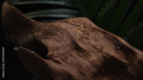 Slow tracking shot across weathered driftwood texture