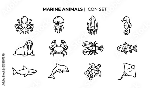 Photography Marine animals line icon set vector sea creature outline symbols for ocean and a