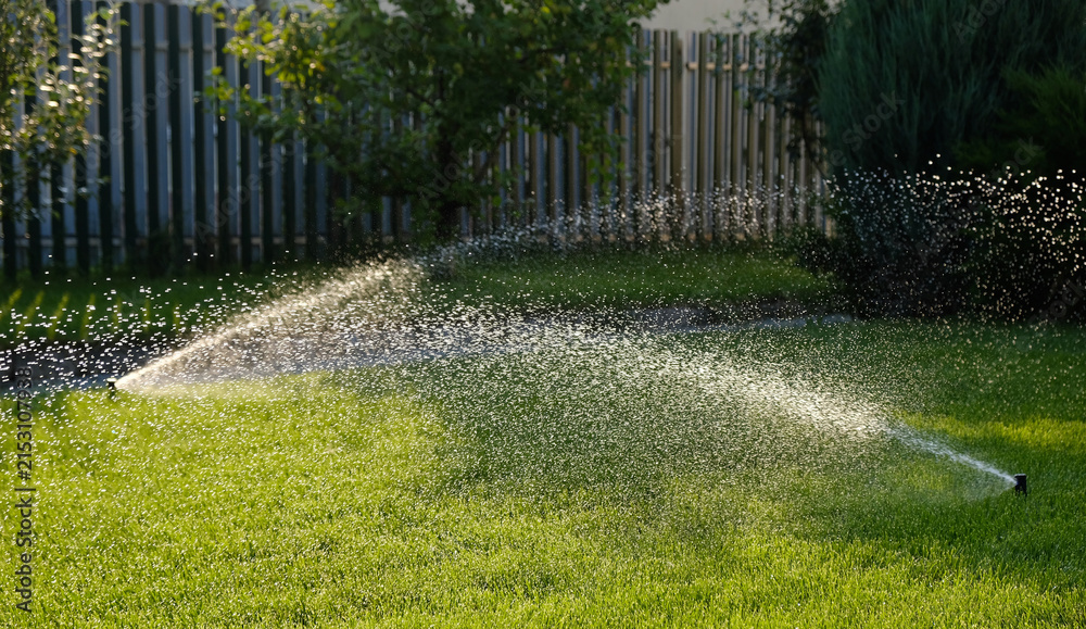 Fototapeta premium Automatic garden irrigation system watering lawn. Savings of water from sprinkler irrigation system with adjustable head. Automatic equipment for irrigation and maintenance of lawns, gardening.