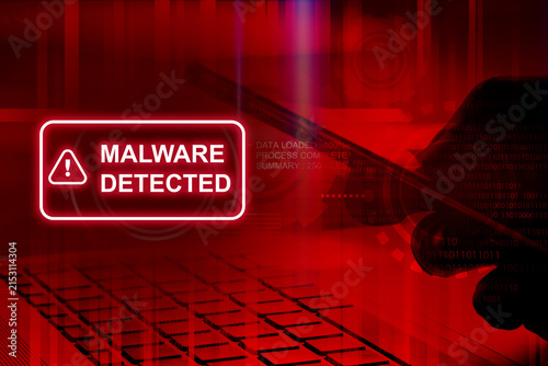 risk management for cyber threats and security assessment, malware and computer virus detection