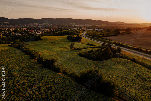 Aerial view of a vast sunflower field and rural highway at sunset near Saalfeld