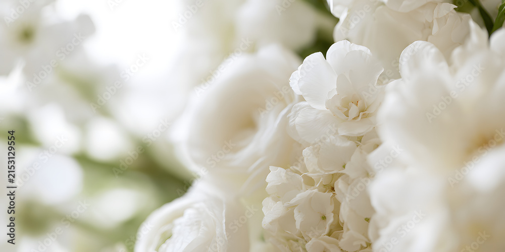 Fototapeta premium A close-up look at a white floral display showcased with a gentle haze, emphasizing the subtle elegance of the blossoms in soft focus.