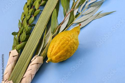 Sukkot four species lulav etrog hadas aravah