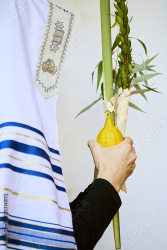 Fotografie Person holding sukkot four species during jewish holiday