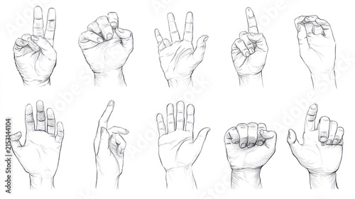 Nine hand studies in various poses, detailed pencil sketch