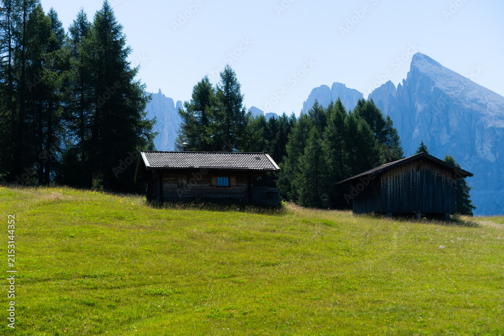 Obraz premium View of beautiful landscape in the Alps with fresh green meadows in the background on a sunny day with blue sky and clouds in summertime. Alpe de Siusi, Dolomite Alps