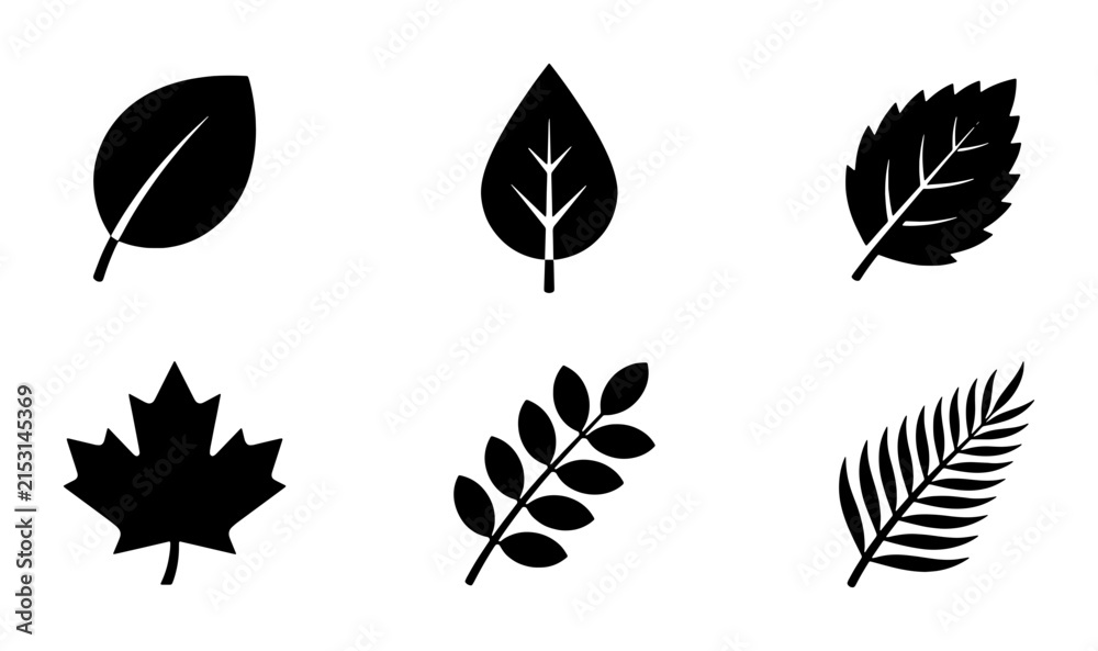 Fototapeta premium Vector Leaf Icons Set, Botanical Plant Silhouettes, Nature Elements Collection, Organic Shapes for Design