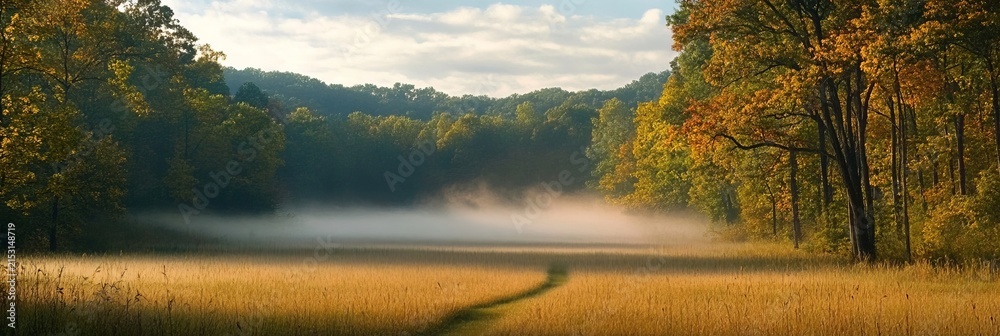 Obraz premium Early Morning Autumn Fog Sweeping Oer A Solitary Serene Golden Meadow Surrounded By Forest Trees.