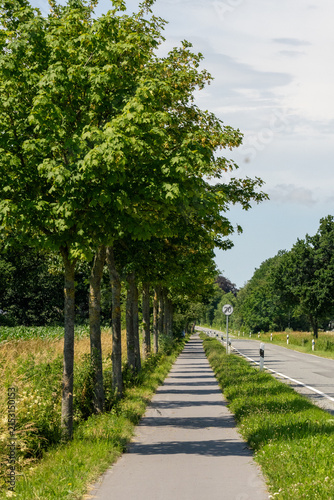 Bike path along country road in Nordfriesland, Schleswig-Holstein