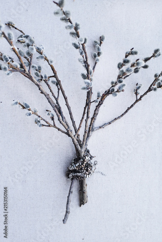 Willow branches with jewelry and soft catkins