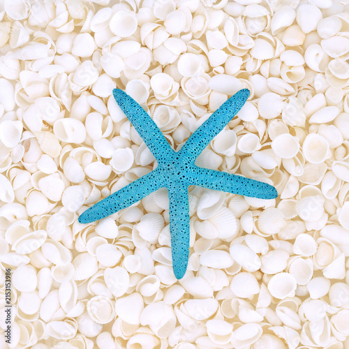 фотографія Starfish, white cockleshell abstract background
