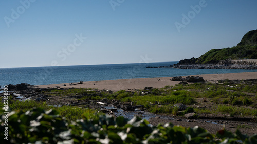 Secluded Cove Beach with Foreground Bokeh